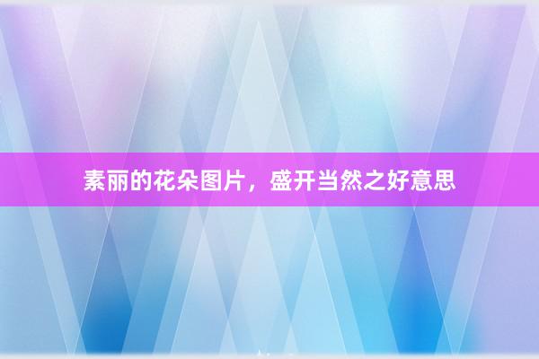 素丽的花朵图片，盛开当然之好意思