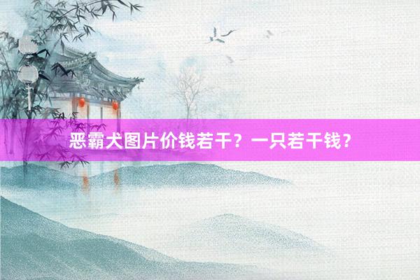 恶霸犬图片价钱若干？一只若干钱？